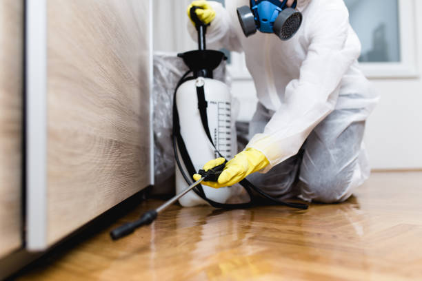 Best Exterminator Services  in Martin, SD