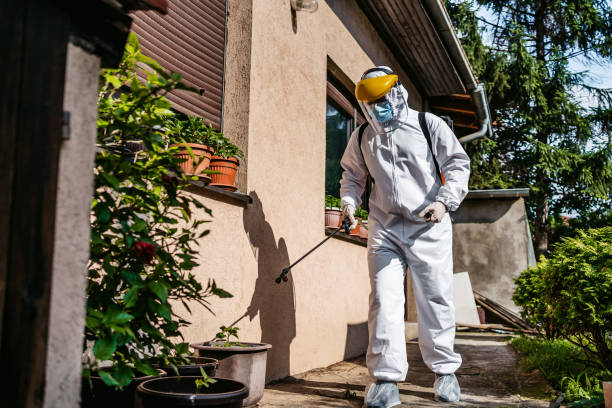 Reliable Martin, SD Pest Control Solutions