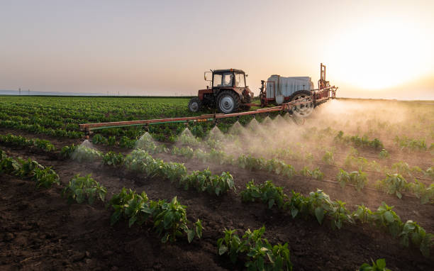 Best Commercial Pest Control Services  in Martin, SD