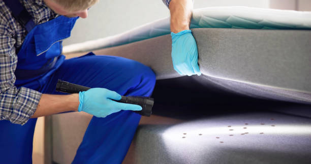 Best Emergency Pest Control  in Martin, SD