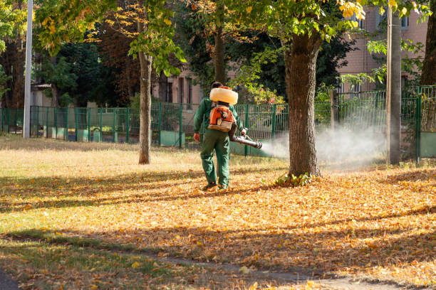 Best Pest Control for Businesses  in Martin, SD