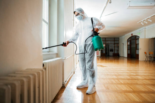 Best Termite Control Services  in Martin, SD