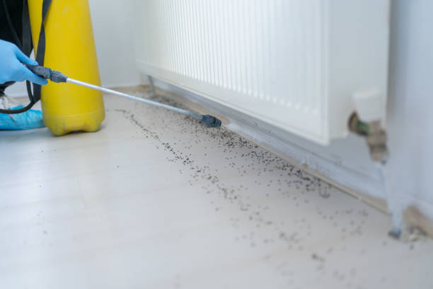 Best Insect Control  in Martin, SD