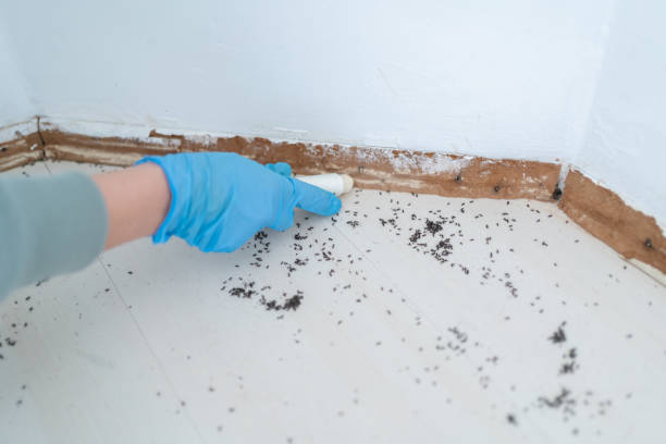 Best Best Pest Control Companies  in Martin, SD