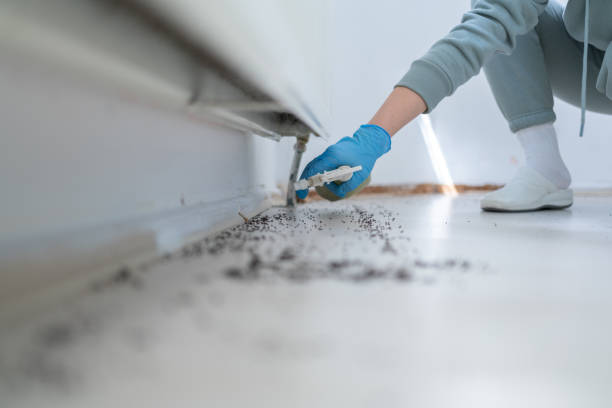 Best Commercial Pest Control Services  in Martin, SD