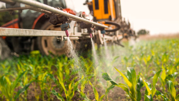 Best Pest Removal Services  in Martin, SD